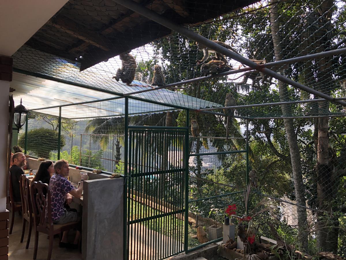 Udawatta Kele Villa Kandy Exterior foto